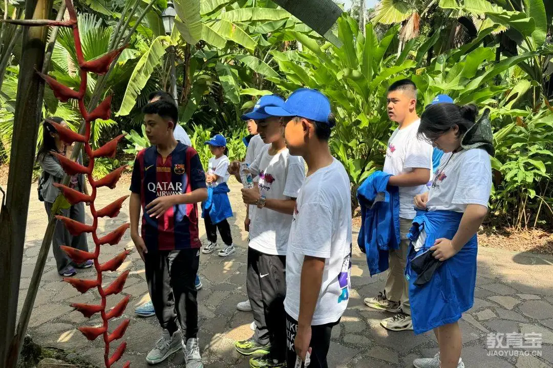 篮球基本训练动作名称_1